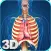 My Respiratory System Anatomy
